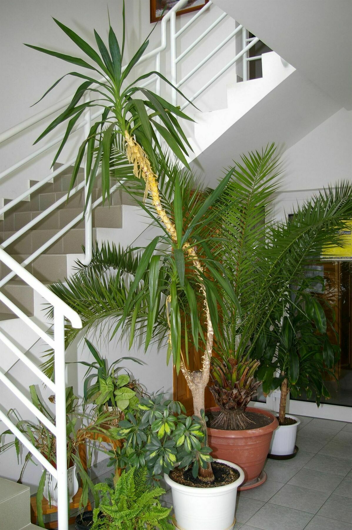 Arizona Apartman Siofok Exterior photo